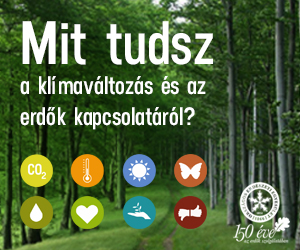 Klímaváltozás és az erdők kapcsolata